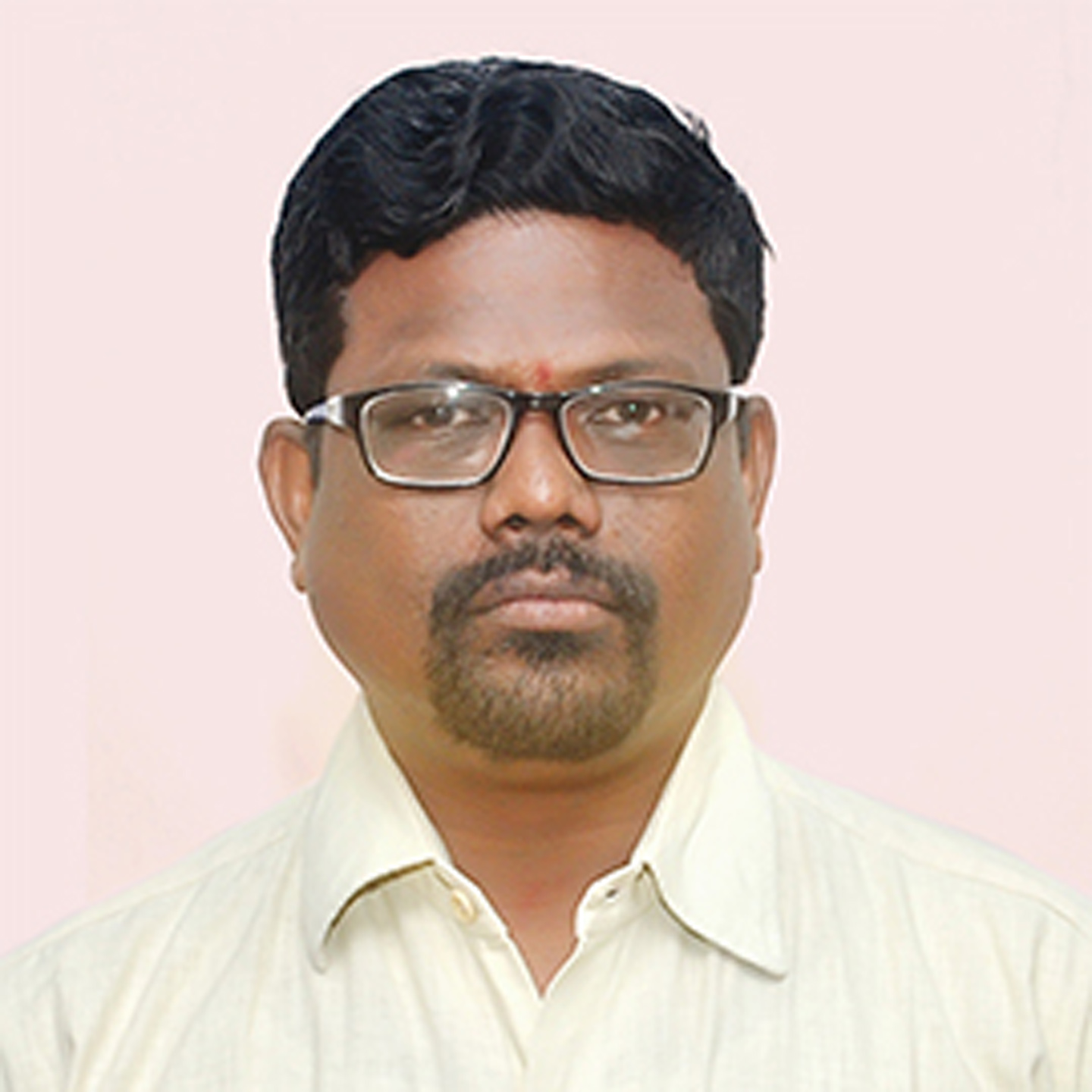 Dr C V Satyanarayana, Director